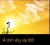AI CHỞ NẮNG VÀO ĐỜI