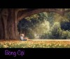 BÓNG CỘI