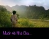 MUỐN VỀ NHÀ CHA
