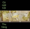 CÓ MỘT CỘI THU VÀNG