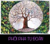 PHÔI PHA TỤ ĐOÀN