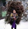 SỐNG ĐỘNG