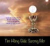 TIM HỒNG   GIẤC SƯƠNG MƠ