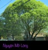NGUYỆN MỞ LÒNG
