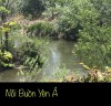 NỖI   BUỒN   YÊN Ả