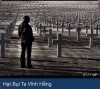 HẠT BỤI TA VĨNH HẰNG