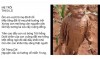 Mẹ Trôi Theo Lũ