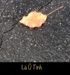 LÁ Ủ TÌNH