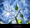 TÌNH VÔ BIÊN