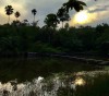 ĐƯỜNG VỀ MÙA SÁM HỐI
