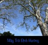 MÂY TRÔI ĐỊNH HƯỚNG