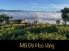 MỖI ĐỘ HOA VÀNG