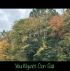 YÊU NGƯỜI CON GÁI