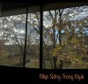 NHỊP SỐNG TRONG NGÀI
