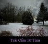 TRÁI CẤM TỪ TÂM
