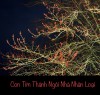CON TIM THÁNH NGÔI NHÀ NHÂN LOẠI