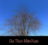 GỌI THỨC MẦM XUÂN
