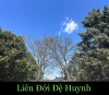 LIÊN ĐỚI ĐỆ HUYNH