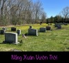 NẮNG XUÂN VƯỜN  TRỜI