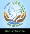MẦM  CÂY  SINH TỒN