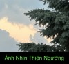 ÁNH NHÌN THIÊN NGƯỠNG