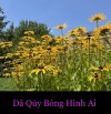 DÃ QÙY BÓNG HÌNH AI