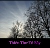 THIÊN THƯ TỎ BÀY