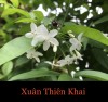 XUÂN THIÊN KHAI
