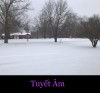 TUYẾT ẤM