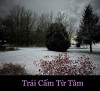 TRÁI CẤM TỪ TÂM