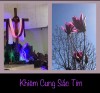 KHIÊM  CUNG  SẮC  TÍM