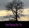 NGỠ NGÀNG BỤI TRO