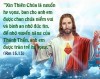 ĐÃ CÓ NHỮNG HẠT GIỐNG