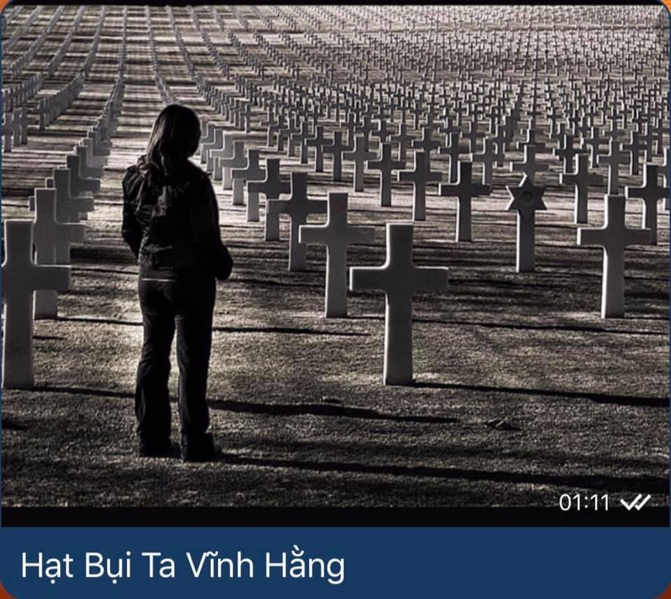 HẠT BỤI TA VĨNH HẰNG