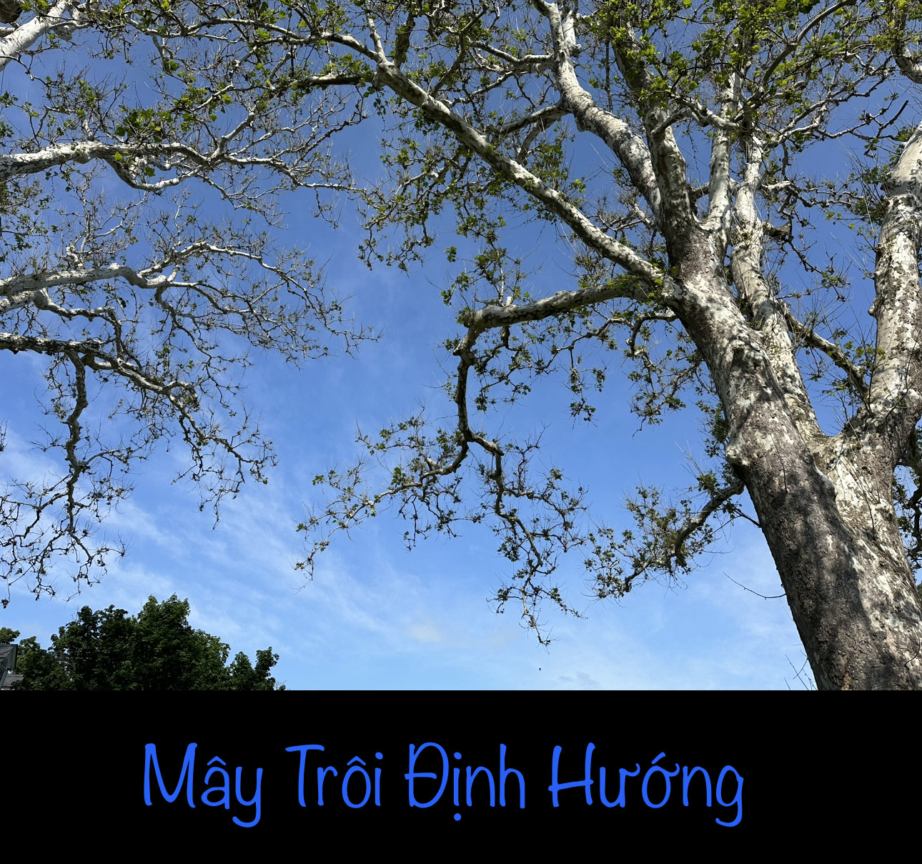 MÂY TRÔI ĐỊNH HƯỚNG