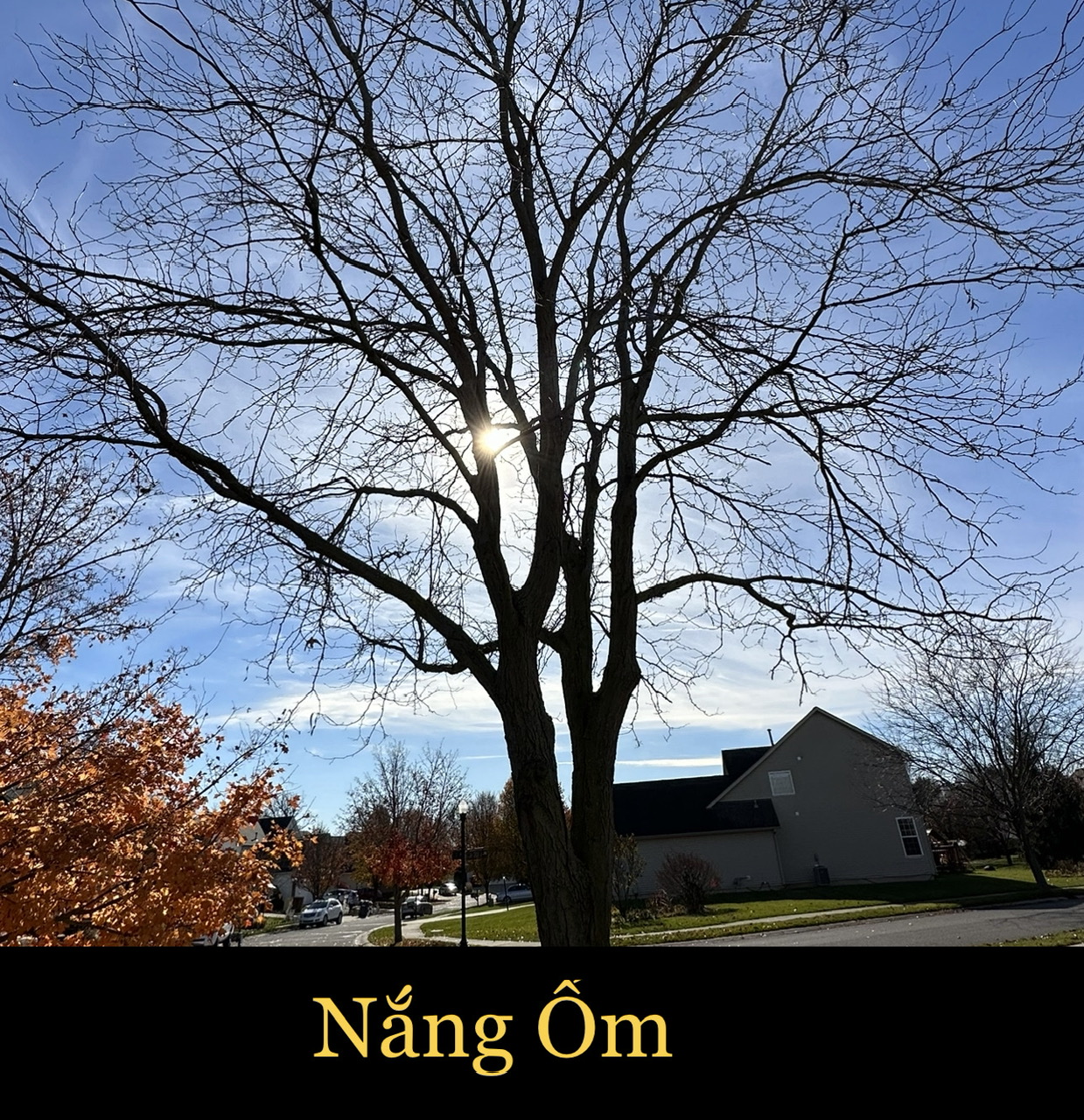 NẮNG ỐM