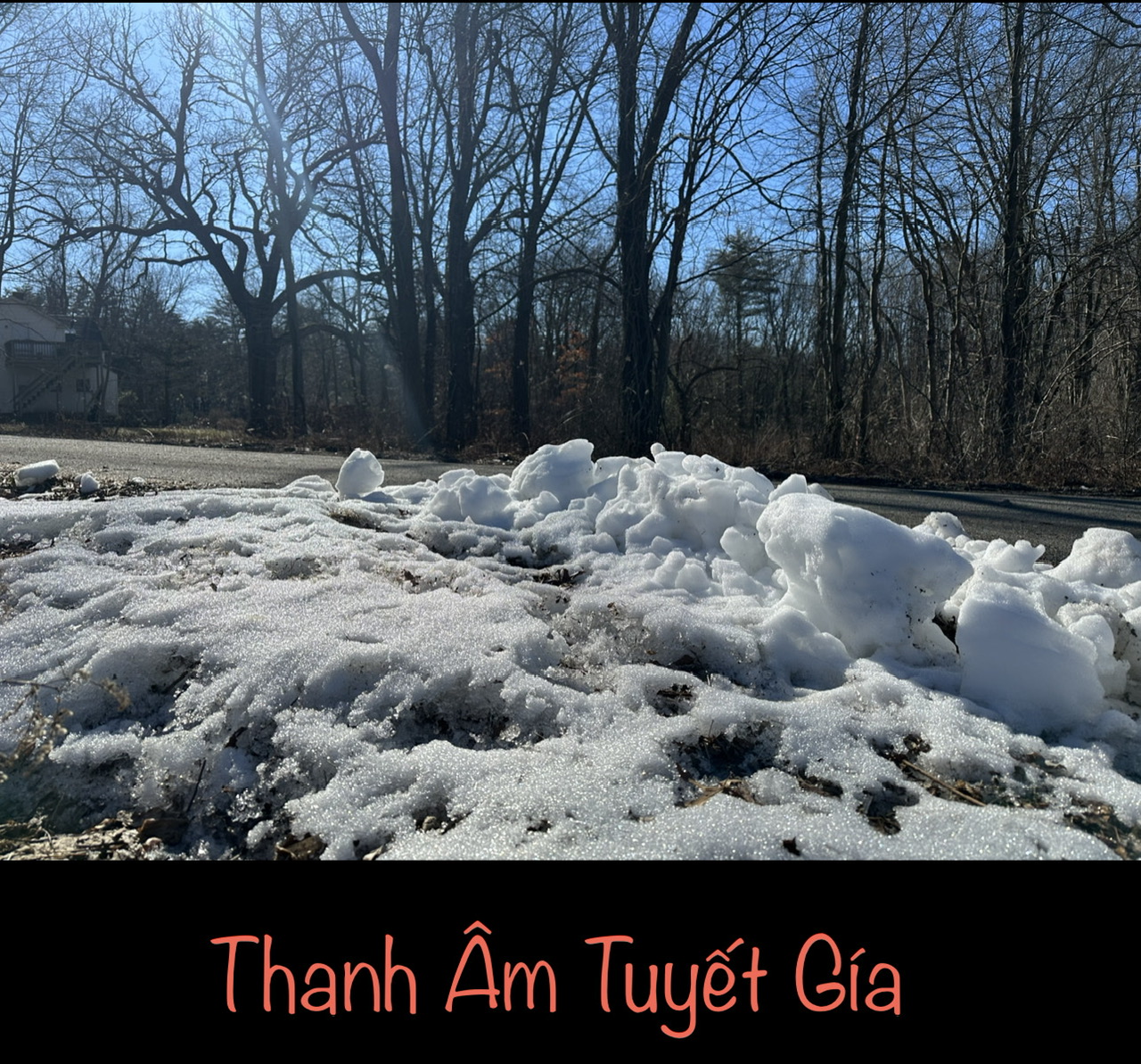 THANH ÂM MÙA TUYẾT GÍA