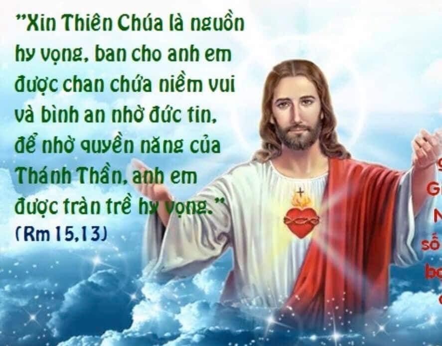 ĐÃ CÓ NHỮNG HẠT GIỐNG